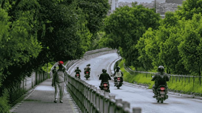 ललितपुरको सानेपा चक्रपथ क्षेत्र हरियालीमा परिणत, वृक्षारोपण अभियान जारी