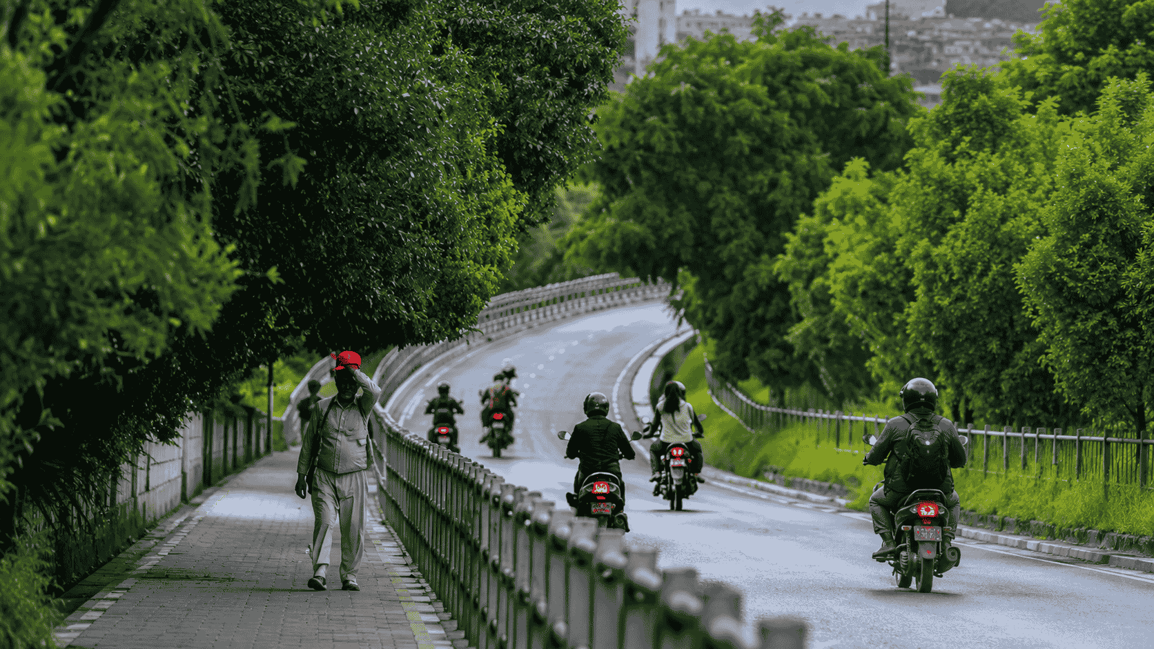 ललितपुरको सानेपा चक्रपथ क्षेत्र हरियालीमा परिणत, वृक्षारोपण अभियान जारी